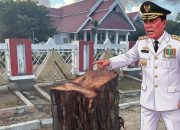 Pohon Ikonik Depan Rujab Gubernur Sulteng Hilang, Gubernur Ancam Sanksi!