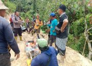 Kapolsek Torue Pastikan Petani Tewas Tertimpa Pohon Murni Kecelakaan Kerja