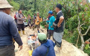 Kapolsek Torue Pastikan Petani Tewas Tertimpa Pohon Murni Kecelakaan Kerja