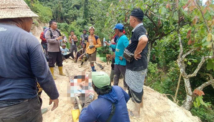 Kapolsek Torue Pastikan Petani Tewas Tertimpa Pohon Murni Kecelakaan Kerja