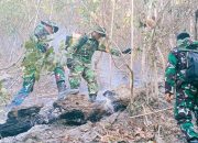Sinergi TNI–Polri dan Stakeholder Daerah Sukses Kendalikan Karhutla di Parimo