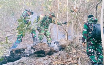 Sinergi TNI–Polri dan Stakeholder Daerah Sukses Kendalikan Karhutla di Parimo
