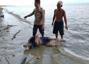 Mayat Ditemukan Mengapung di Pantai Dimpalon Baru, Polsek Kintom Lakukan Evakuasi dan Penyelidikan