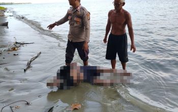 Mayat Ditemukan Mengapung di Pantai Dimpalon Baru, Polsek Kintom Lakukan Evakuasi dan Penyelidikan