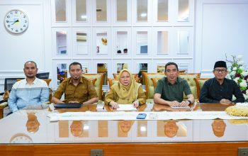 Pemprov Sulteng Klarifikasi Isu Honor Honorer 2026