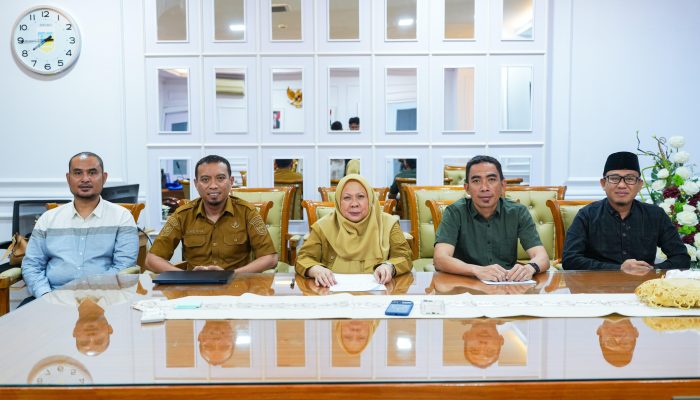 Pemprov Sulteng Klarifikasi Isu Honor Honorer 2026