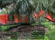 Polda Sulteng Sita 7 Alat Berat dari Lokasi Tambang Emas Ilegal di Parigi Moutong