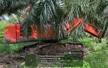 Polda Sulteng Sita 7 Alat Berat dari Lokasi Tambang Emas Ilegal di Parigi Moutong