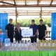 ACC Tanam 5.000 Mangrove di Pontianak, Dorong Pelestarian Lingkungan dan UMKM