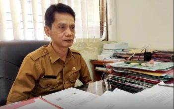Kabid Minerba Sulteng Sebut 7 Perusahaan Sudah Miliki RKAB