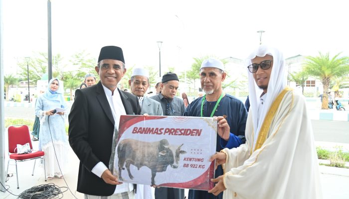 127 Hewan Kurban Disalurkan Pemprov Sulteng untuk Masyarakat