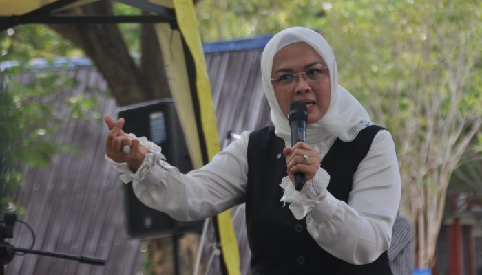 Talkshow Kewirausahaan FISIP Untad, Diah Puspita Berbagi Inspirasi