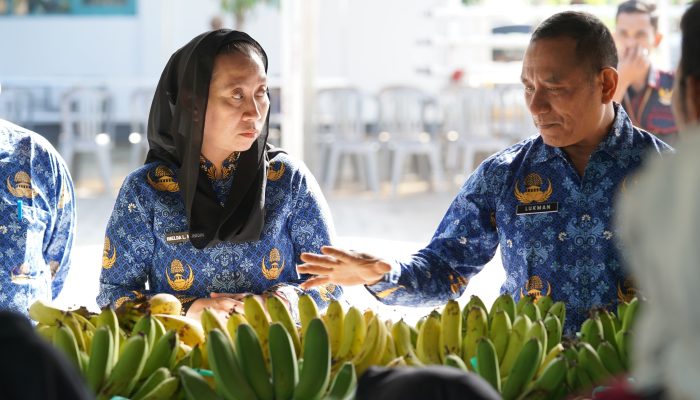 Pasar Tani Palu Pangkas Rantai Distribusi, Petani Untung Warga Dapat Harga Murah