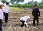 Wali Kota Palu Ingin Kelurahan Menanam Tingkatkan Pendapatan Warga