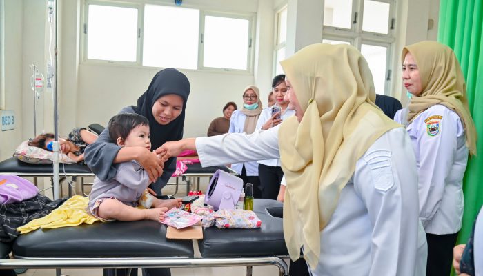 Wagub Sulteng Tinjau Tiga Puskesmas di Morowali