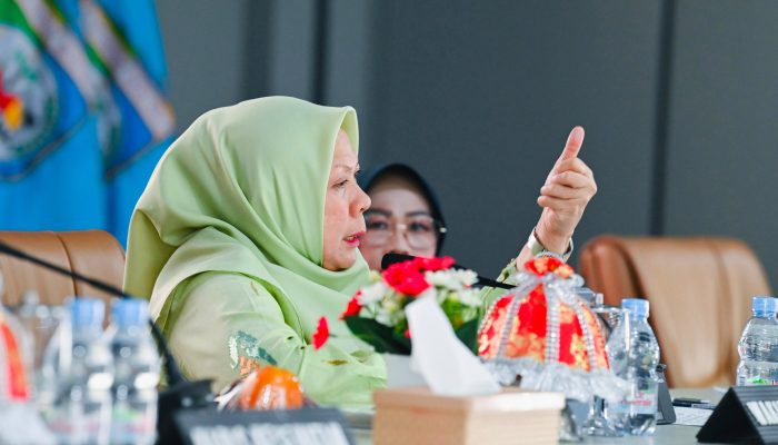 Wagub: Morowali Jadi Contoh Layanan Kesehatan