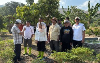 Program Palu Mapan Perluas Kelurahan Tematik Cabai