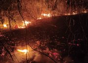 Karhutla di Pagimana Belum Padam, BPBD Butuhkan Pasokan Air