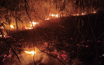 Karhutla di Pagimana Belum Padam, BPBD Butuhkan Pasokan Air