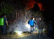 Karhutla di Tojo Una-Una Hanguskan Sekitar 20 Hektare Lahan