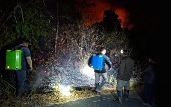 Karhutla di Tojo Una-Una Hanguskan Sekitar 20 Hektare Lahan
