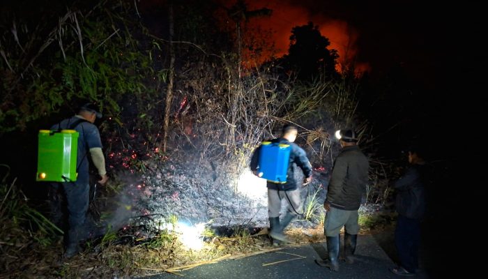 Karhutla di Tojo Una-Una Hanguskan Sekitar 20 Hektare Lahan