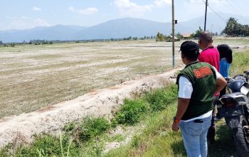 Kekeringan Berkepanjangan Hantam Parigi Moutong, 1.400 Hektare Lahan Terancam