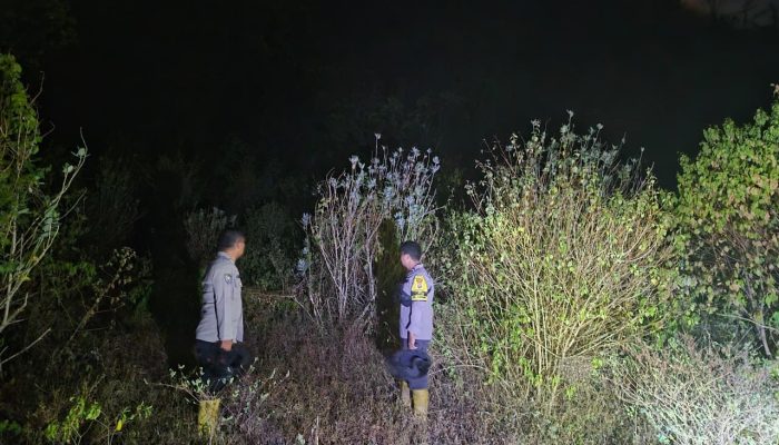 Hutan Tampanombo Terbakar di Tengah Malam, Petugas Berjaga hingga Dini Hari