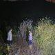 Hutan Tampanombo Terbakar di Tengah Malam, Petugas Berjaga hingga Dini Hari