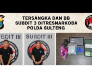 Polda Sulteng Amankan 2 Pemuda Bawa 103 Gram Sabu