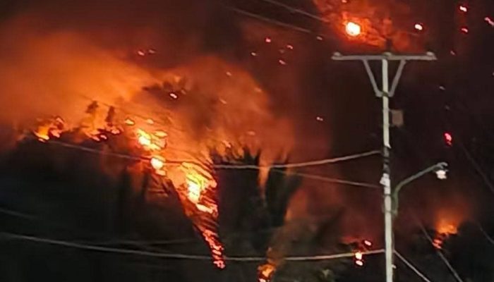 Kebakaran Poso Membesar, Api Mengancam Permukiman Warga