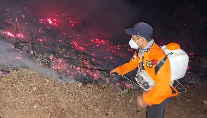 Kebakaran Hutan di Poso Meluas, 15 Hektare Lahan Terbakar
