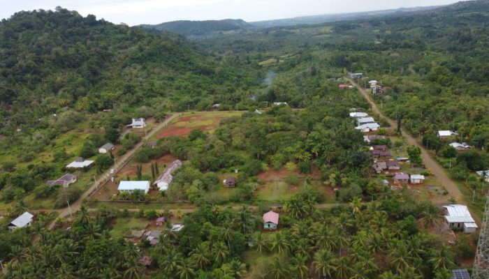 Nama Petinggi KFC Muncul di Balik Konsesi Nikel Tompotika