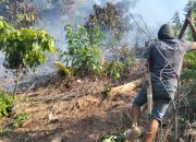 Kebun Warga di Santigi Terbakar, Polisi Imbau Waspada Karhutla