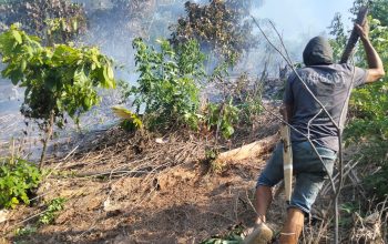 Kebun Warga di Santigi Terbakar, Polisi Imbau Waspada Karhutla