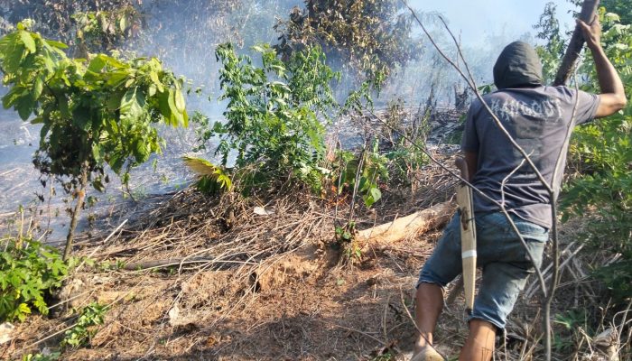 Kebun Warga di Santigi Terbakar, Polisi Imbau Waspada Karhutla