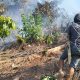 Kebun Warga di Santigi Terbakar, Polisi Imbau Waspada Karhutla