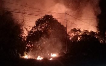 Karhutla Melanda Bolano Barat, Api Belum Padam