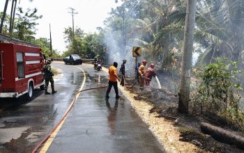 Karhutla di Malotong, Tojo Una-Una Hanguskan Sekitar 1 Hektare Lahan